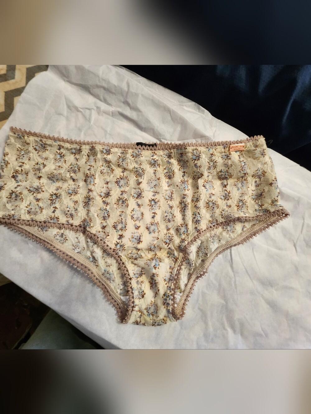 Daydream Nation Wilshire Panty In Floral Mesh Lace Please Read Full Description